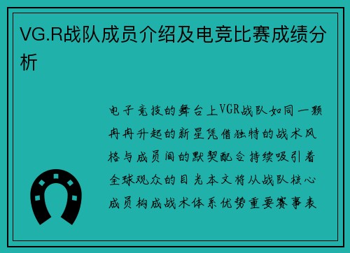 VG.R战队成员介绍及电竞比赛成绩分析